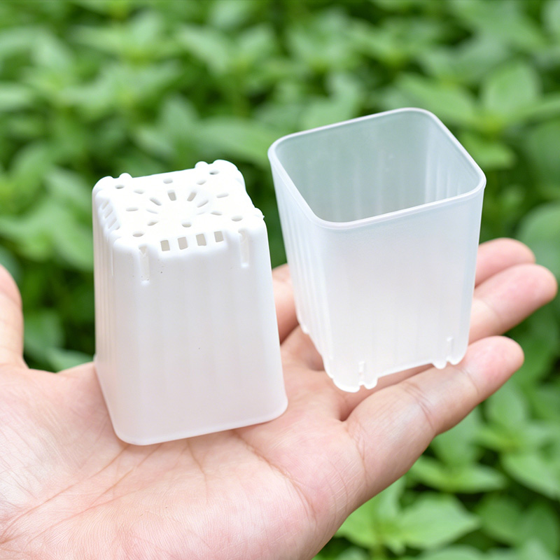 Plant Parent - 50-100 Stuks 4 Cm Mini Dikker