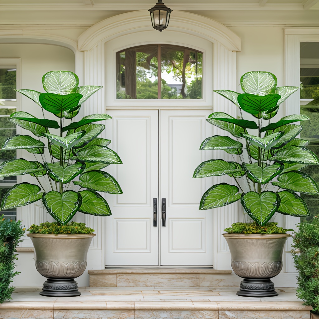 Fiddle Leaf Fig - Eén kiwi-groene verse planten met 48