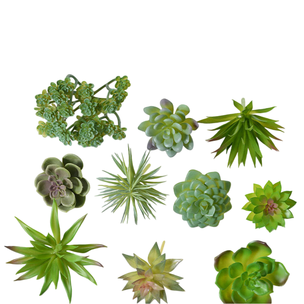Kunstmatig bureau centerpiece  - Succulent Arrangement Mini recensie en prijs