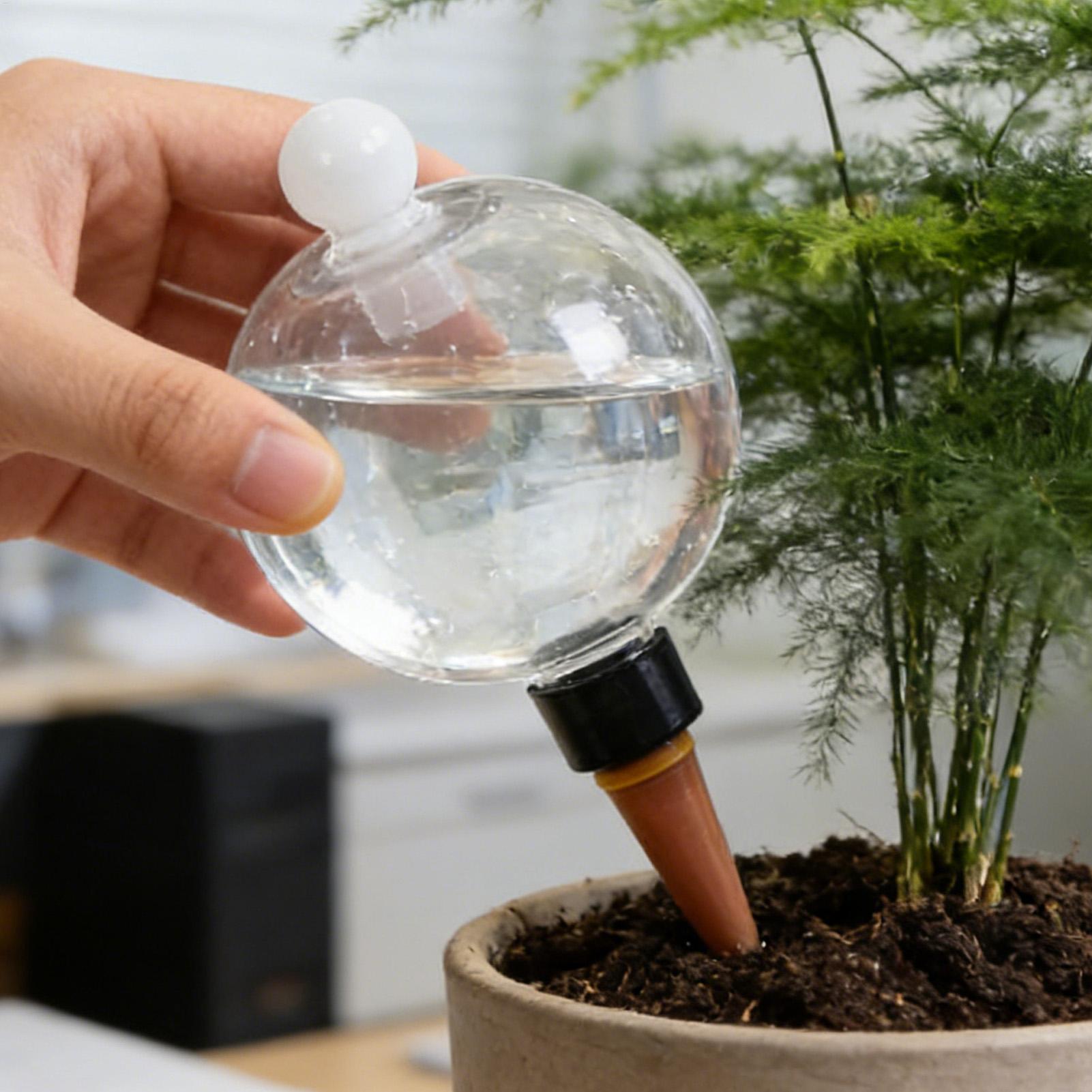 Plantenbewateringsbollen 4 stu - Plant Parent recensie en prijs