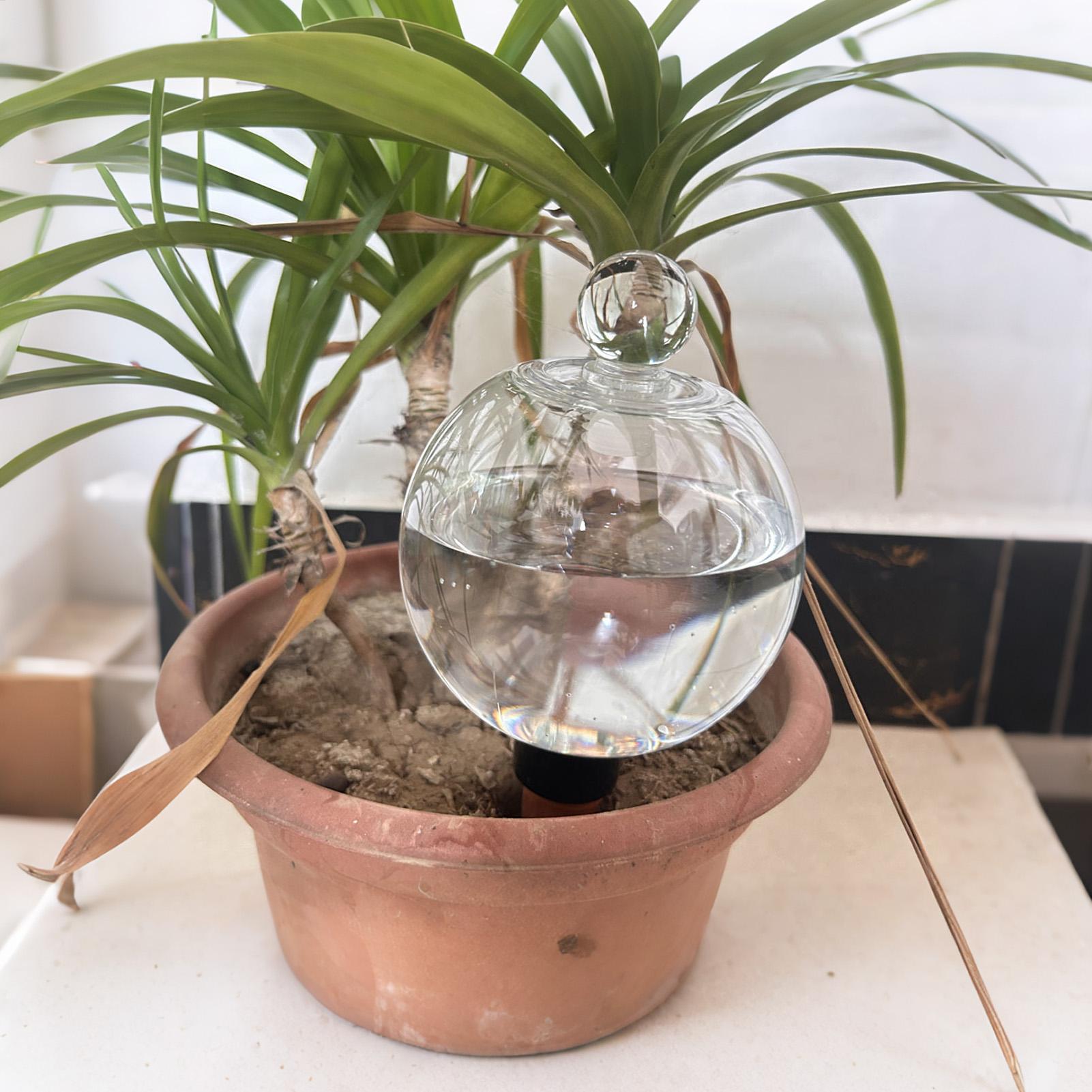 Plantenbewateringsbollen 4 stu - Plant Parent recensie en prijs