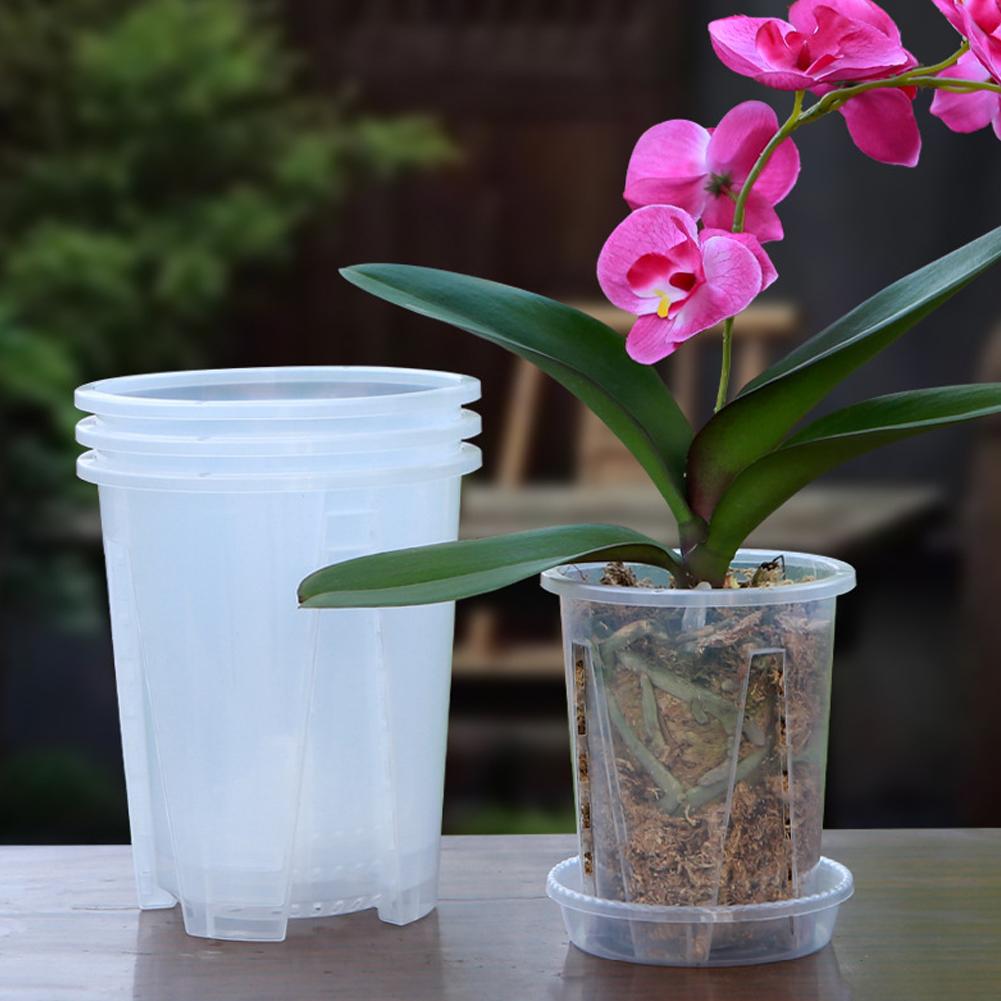 Plastic wortelcontrole transpa - Plant Parent recensie en prijs