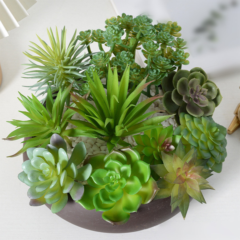 Kunstmatige mini-bonsai succul - Succulent Arrangement Mini recensie en prijs