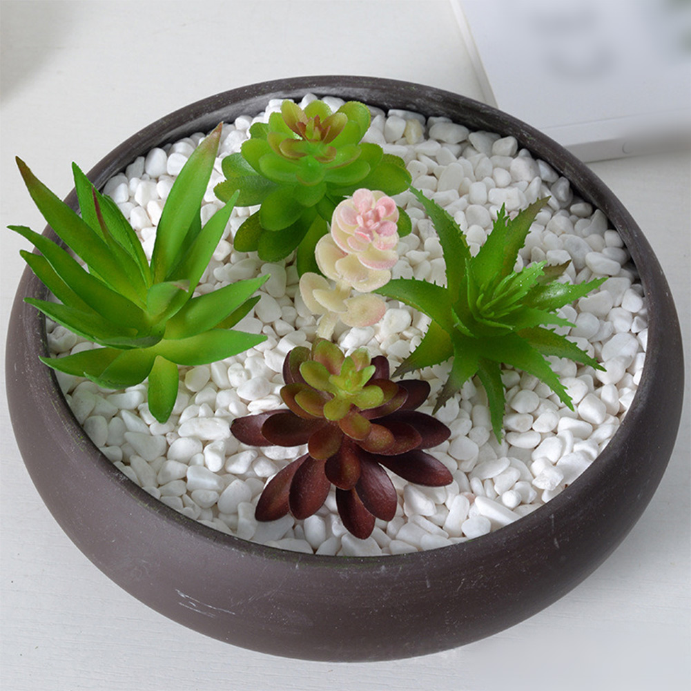 Kunstmatige mini-bonsai succul - Succulent Arrangement Mini recensie en prijs