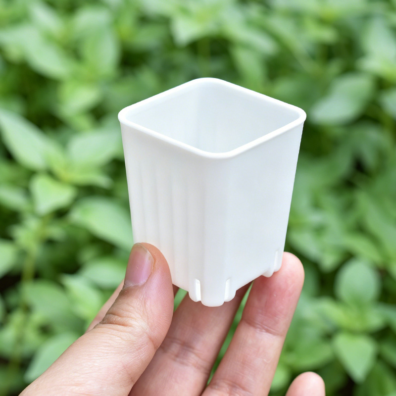 50-100 Stuks 4 Cm Mini Dikker  - Plant Parent recensie en prijs