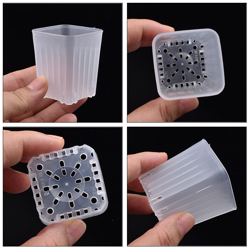50-100 Stuks 4 Cm Mini Dikker  - Plant Parent recensie en prijs