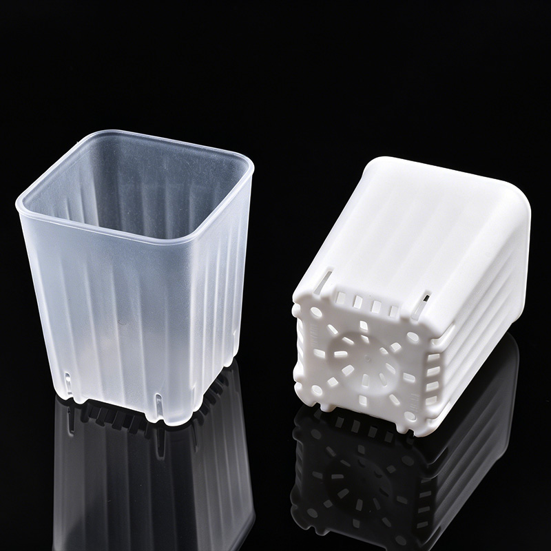 50-100 Stuks 4 Cm Mini Dikker  - Plant Parent recensie en prijs