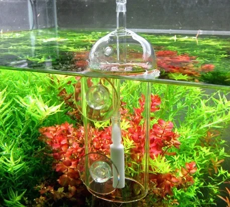VIV Do Apparaat Aquarium Cilin - Plant Parent recensie en prijs