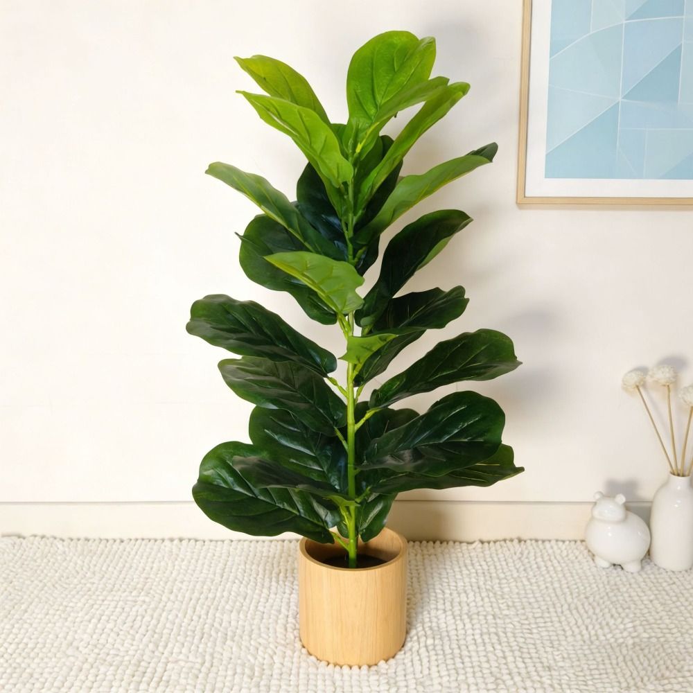 Groene Kunststof Kunstmatige F - Fiddle Leaf Fig recensie en prijs