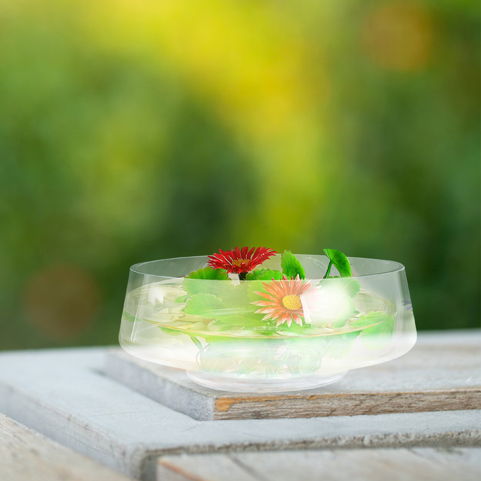 Transparante glazen vaas met g - Succulent Arrangement Mini recensie en prijs