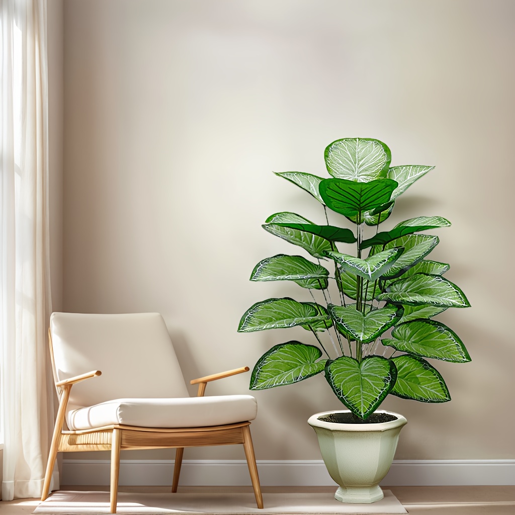 Eén kiwi-groene verse planten  - Fiddle Leaf Fig recensie en prijs