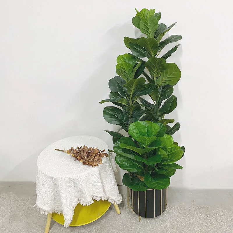 35-150cm Tropische Boom Grote  - Fiddle Leaf Fig recensie en prijs