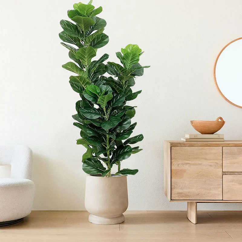 35-150cm Tropische Boom Grote  - Fiddle Leaf Fig recensie en prijs
