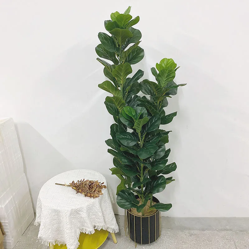 35-150cm Tropische Boom Grote  - Fiddle Leaf Fig recensie en prijs