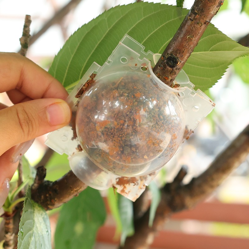 Air Layering Pods Plant Rootin - Plant Parent recensie en prijs
