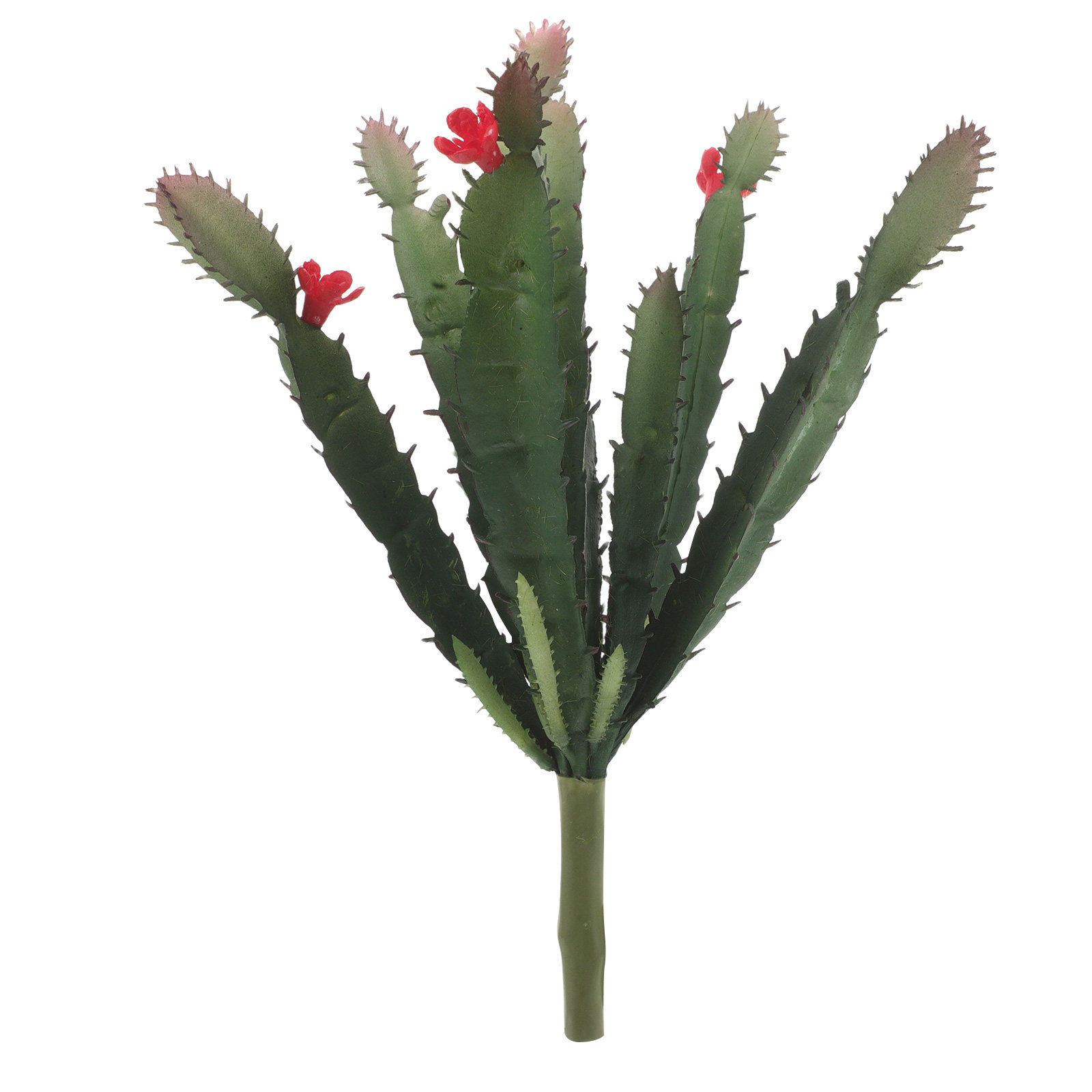 Levensechte mini kunstcactus s - Succulent Arrangement Mini recensie en prijs