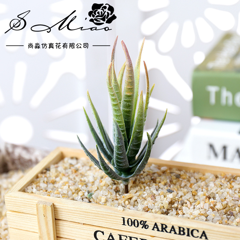 Wusmart Ban Ma Lu Hui Kunstpla - Succulent Arrangement Mini recensie en prijs