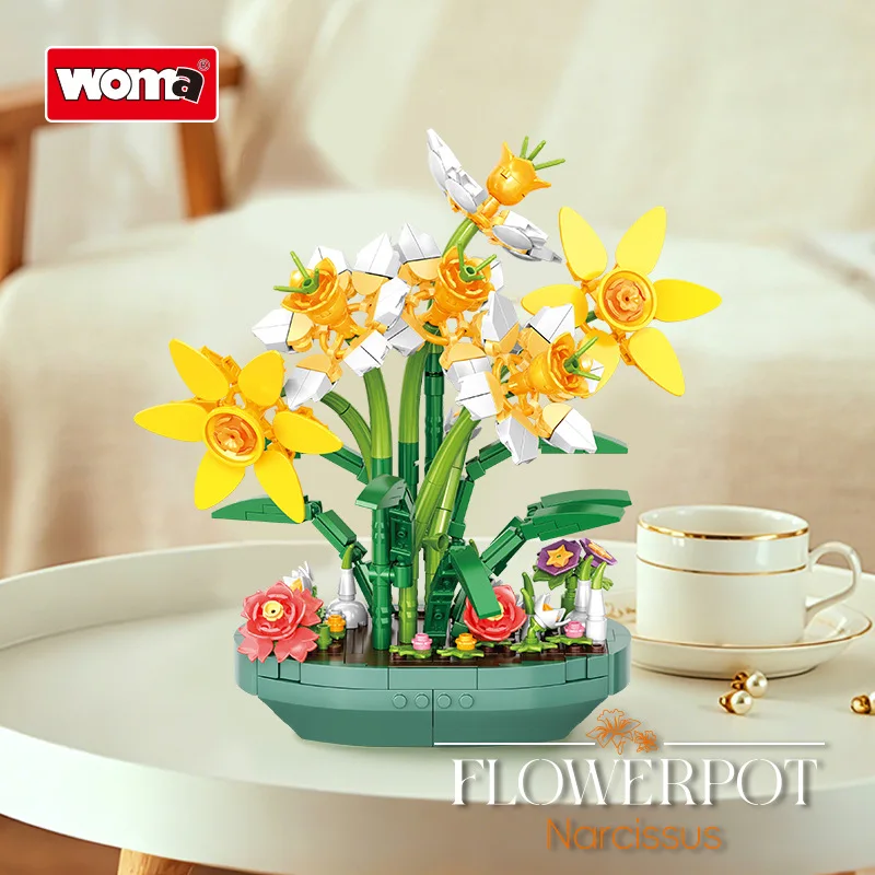 Geconserveerde narcis in pot m - Plant Parent Yearly recensie en prijs