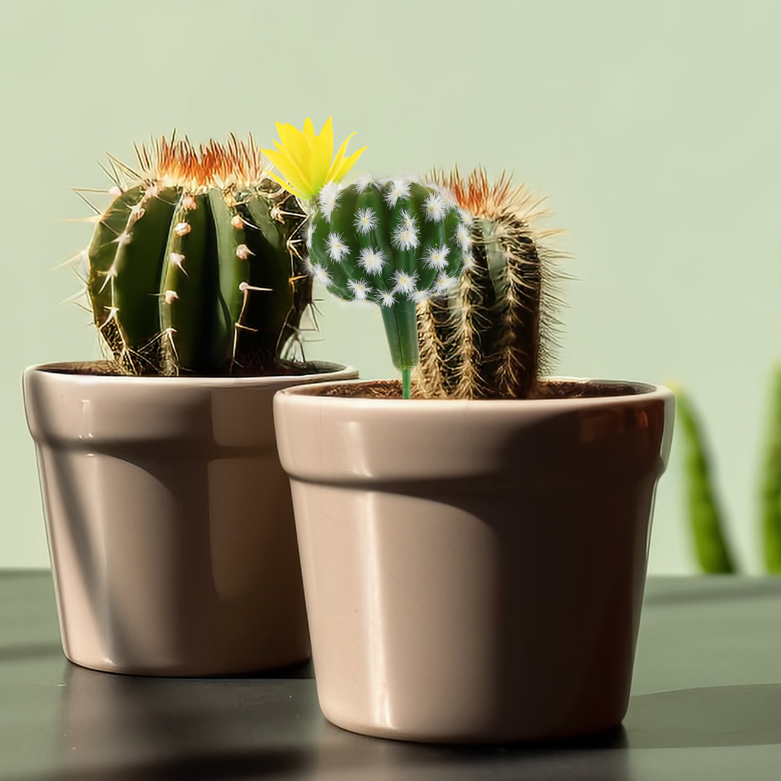 Kleine kunstmatige cactus- en  - Succulent Arrangement Mini recensie en prijs